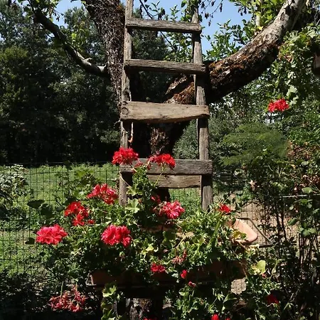 Manca * San Severino Lucano