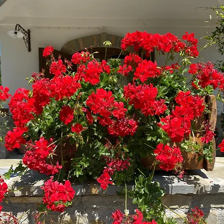 Manca San Severino Lucano