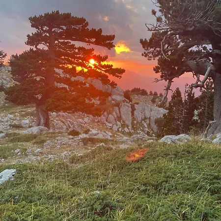 Casa vacanze Manca *