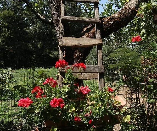 Manca * San Severino Lucano